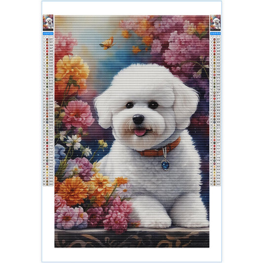Bichon Frise Dog