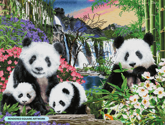 Panda Bears