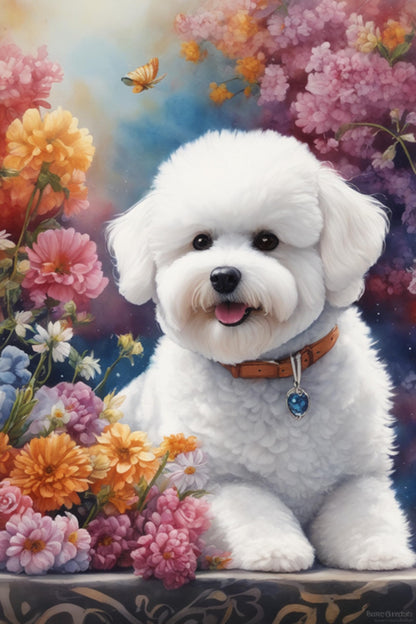 Bichon Frise Dog