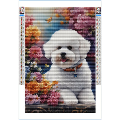 Bichon Frise Dog