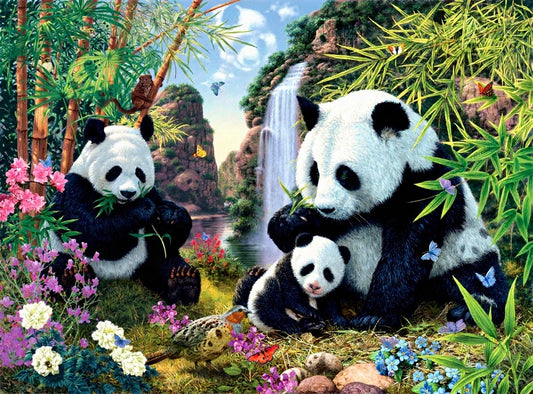 Panda Valley