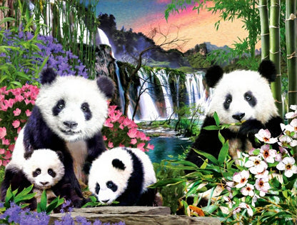 Panda Bears