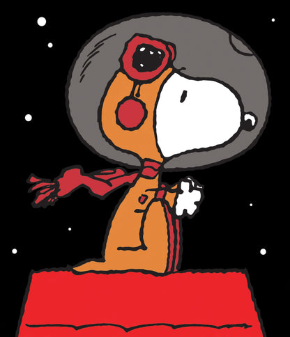 Earth to Snoopy